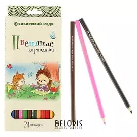 Карандаши 24 цвета "Ёжик"