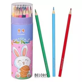 Карандаши 36 цветов в тубусе HW Hong WEI шестигранные