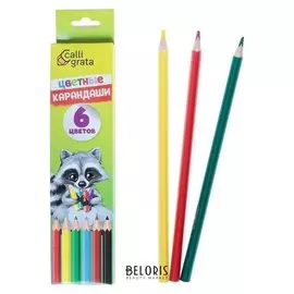 Карандаши 6 цветов Calligrata