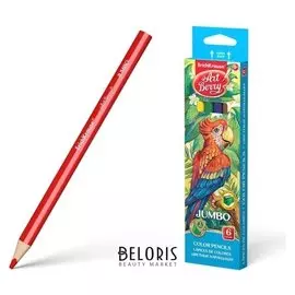 Карандаши 6 цветов Maxi Artberry