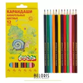 Карандаши акварельные 12 цветов, шестигранные