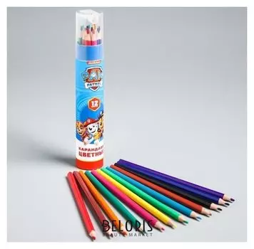 Карандаши цветные в тубусе, 12 цветов, точилка в комплекте