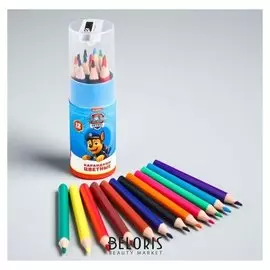 Карандаши цветные в тубусе с точилкой, 12 цветов