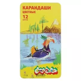 Карандаши цветные, 12 цветов