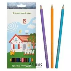 Карандаши цветные 12цв сибирский кедр "Карандашная деревня"