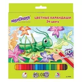 Карандаши цветные 24 цветов "В гостях у букашек"
