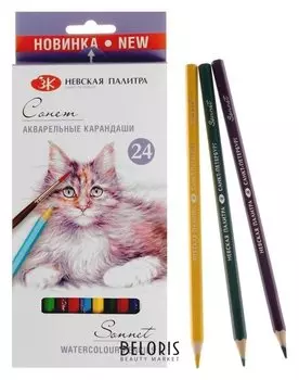 Карандаши цветные акварельные ЗХК «Сонет», 24 цветов, к/к