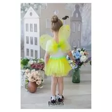 Карнавальный набор «Груша», 4 предмета: ободок, жезл, крылья, юбка, 3-4 года