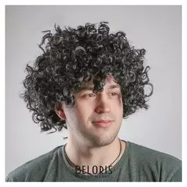 Карнавальный парик «Кудряшки», обхват головы 56 см, цвет чёрный