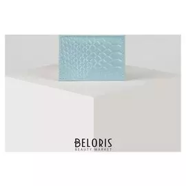 Картхолдер, цвет голубой