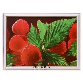 Картина "Малина" 25х35 см (28х38 см)