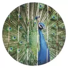 Картина на дереве "Павлин" 40х40 см