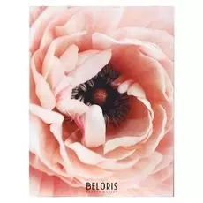 Картина "Пион" 30*40 см