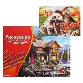 Картина по номерам 30×40 см в коробке, 17 цветов «Щеночек и котёнок на пикнике»