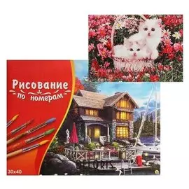 Картина по номерам 30×40 см в коробке «Два котёнка в корзинке в цветах»