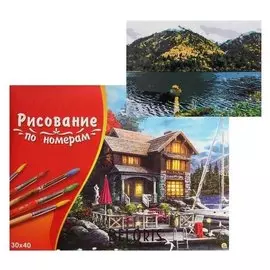 Картина по номерам 30×40 см в коробке «Завораживающий вид»