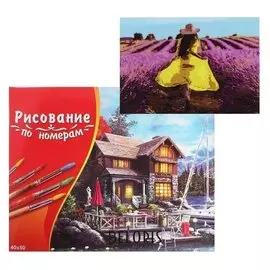 Картина по номерам 40×50 см в коробке, 20 цветов «Девушка в лавандовом поле»