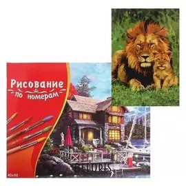 Картина по номерам 40×50 см в коробке, 20 цветов «Лев и львёнок»