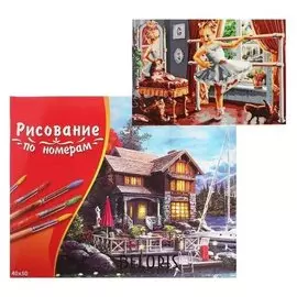 Картина по номерам 40×50 см в коробке, 21 цвет « маленькая балерина с котятами»