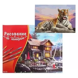 Картина по номерам 40×50 см в коробке «Большой тигр на закате»