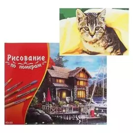 Картина по номерам 40×50 см в коробке «Котёнок под пледом»