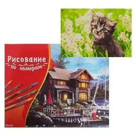 Картина по номерам 40×50 см в коробке «Котёнок в ромашках»