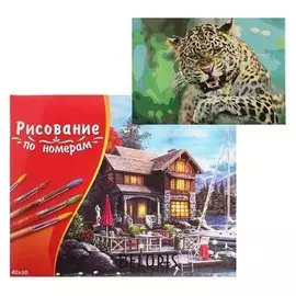 Картина по номерам 40×50 см в коробке «Рычащий леопард»