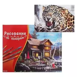 Картина по номерам 40×50 см в коробке «Рычащий леопард»