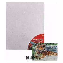 Картина по номерам 40×50 см в плёнке «Задумчивый тигр на камнях»