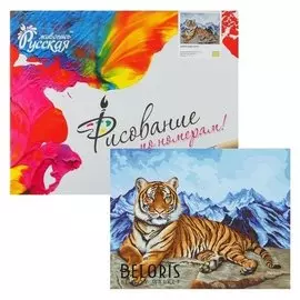 Картина по номерам «Амурский тигр» 40 × 50 см