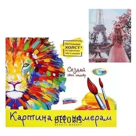 Картина по номерам «Девушка в париже» 40х50 см