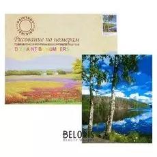 Картина по номерам «Две березы»