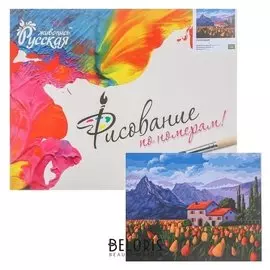 Картина по номерам «Голландия» 40 × 50 см