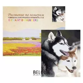 Картина по номерам «Хаски»