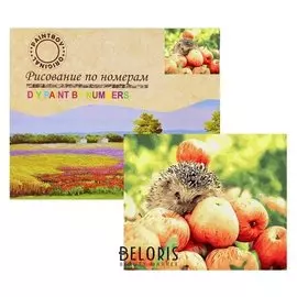 Картина по номерам «Ёжик»