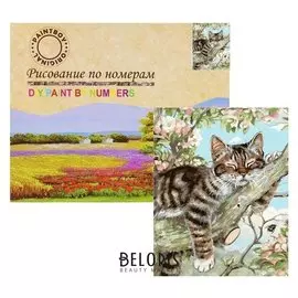 Картина по номерам «Кот»лежебока»