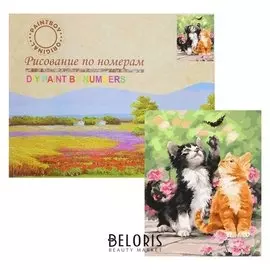 Картина по номерам «Котята»