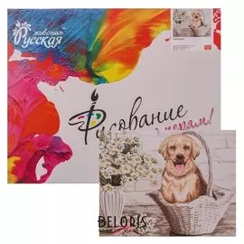 Картина по номерам «Лабрадор» 40 × 50 см