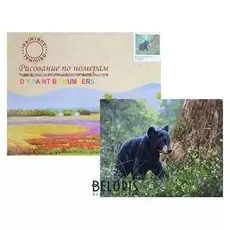 Картина по номерам «Лесной житель»