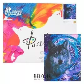 Картина по номерам «Ловец снов» 40×50 см