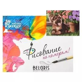 Картина по номерам «маленький друг « 40 × 50 см