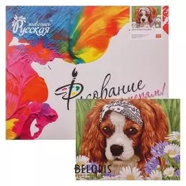 Картина по номерам «Маленький спаниель» 40 × 50 см