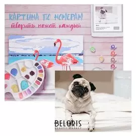 Картина по номерам «Мопс» 40х50 см