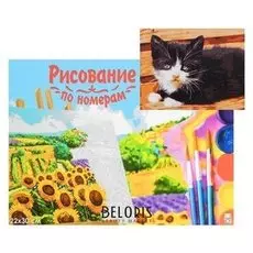 Картина по номерам на холсте 22 × 30 см, «Чёрно-белый котёнок»
