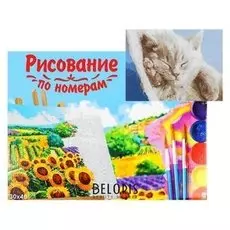 Картина по номерам на холсте, 30 × 40 см, «Спящий котёнок»