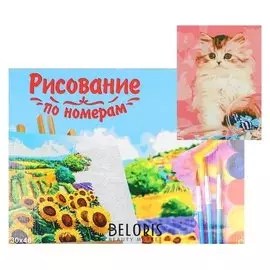 Картина по номерам на холсте 30 × 40 см, «Котёнок с конфетами»