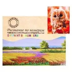 Картина по номерам на холсте «Глубина взгляда» 40х50 см