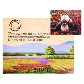 Картина по номерам на холсте «Прогулка котиков» 40х50 см