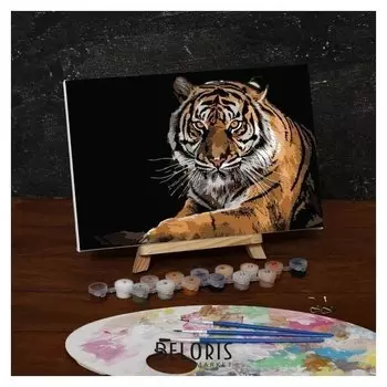 Картина по номерам на холсте с подрамником «Тигр», 30х20 см