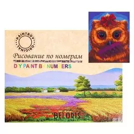 Картина по номерам на холсте «Совушка прихорашивается» 40х50 см